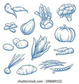 Set of fresh vegetables: turnip, beans, potatoes, sweet corn, kohlrabi, pumpkin, broccoli, parsnip, peas, yam, spring onion. Hand drawn doodle vector illustration.