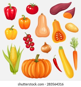 Set of fresh vegetables. Vector illustration.