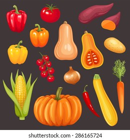 Conjunto de verduras frescas. Ilustración vectorial.