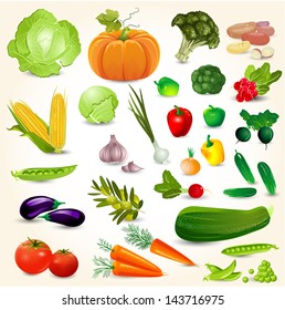 Set of fresh vegetables for your design