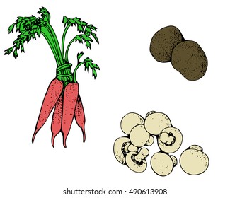 Set of fresh vegetables for your design