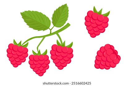 Set aus frischen und lebendigen Himbeeren mit grünen Blättern. Leckere und gesunde Beerenernte. Einzeln auf weißem Hintergrund