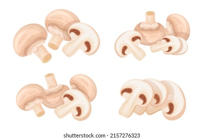 Set of fresh white champignons in cartoon style. Vector illustration of mushrooms whole and cut into slices and halves on white background.