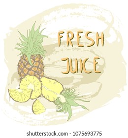 A set of fresh whole and cut pineapple on the background of splashes and stains. Vector illustration
