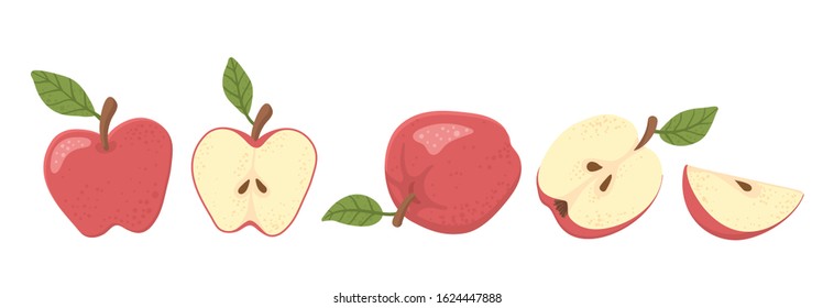 Set of fresh whole and cut red apple and slices isolated on white vector illustration background.