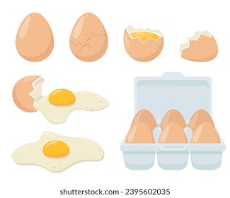 Set of fresh whole eggs in box, broken eggs, fried eggs, yolks and whites, eggshells. Ingredients for baking and cooking. Healthy organic food. Vector flat illustration isolated on white background.