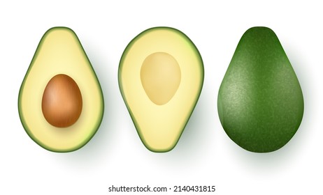 Set of fresh whole and half avocado isolated on white background. Organic eco food realistic Vector illustration