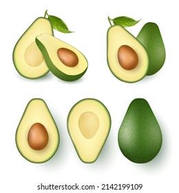 Set of fresh whole and half avocado isolated on white background. Organic eco food realistic Vector illustration