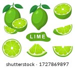 Set of fresh whole, half, cut slice lime fruits isolated on white background. Summer fruits for healthy lifestyle. Organic fruit. Cartoon style. Vector illustration for any design.