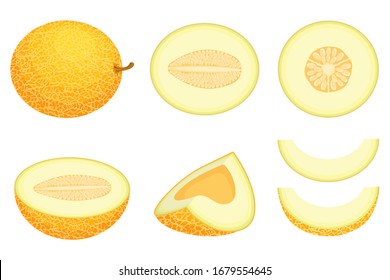 Set of fresh whole, half, cut slice melon fruit isolated on white background. Honeydew melon. Summer fruits for healthy lifestyle. Organic fruit. Cartoon style. Vector illustration for any design.