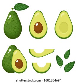 Set of fresh whole, half, cut slice and leaves avocado isolated on white background. Summer fruits for healthy lifestyle. Organic fruit. Cartoon style. Vector illustration for any design.