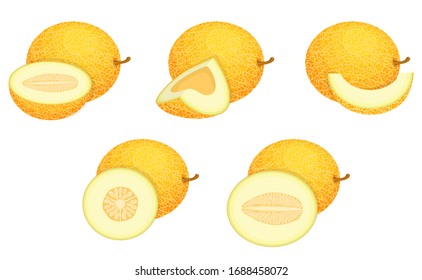 Set of fresh whole, half, cut slice melon fruit isolated on white background. Honeydew melon. Summer fruits for healthy lifestyle. Organic fruit. Cartoon style. Vector illustration for any design.