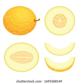 Set of fresh whole, half, cut slice melon fruit isolated on white background. Honeydew melon. Summer fruits for healthy lifestyle. Organic fruit. Cartoon style. Vector illustration for any design.