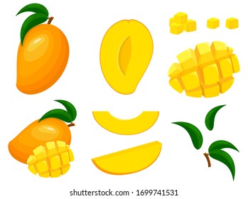 Set of fresh whole, half, cut slice mango fruits isolated on white background. Summer fruits for healthy lifestyle. Organic fruit. Cartoon style. Vector illustration for any design.