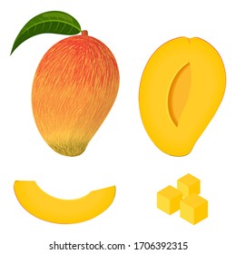 Set of fresh whole, half, cut slice mango fruits isolated on white background. Summer fruits for healthy lifestyle. Organic fruit. Cartoon style. Vector illustration for any design.