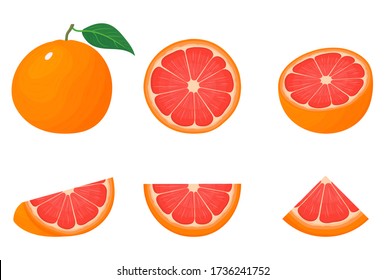 Set of fresh whole, half, cut slice grapefruit fruits isolated on white background. Summer fruits for healthy lifestyle. Organic fruit. Cartoon style. Vector illustration for any design.