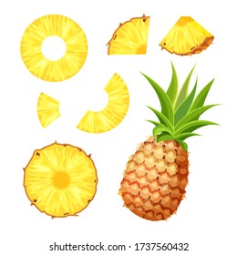 Set of fresh whole, half, cut slice and piece of pineapple isolated on white background. Vegan food vector icons in a trendy cartoon style. Healthy food concept.