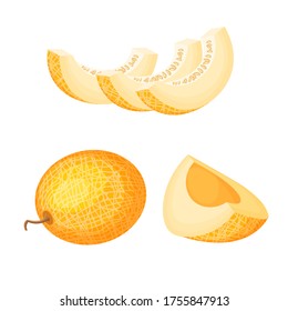 Set aus frischen ganzen, halben, geschnittenen Scheiben und Melonen einzeln auf weißem Hintergrund. Veganische Food-Vektorsymbole in einem trendigen Cartoon-Stil. Konzept für gesunde Lebensmittel. Frischer Cartoon-Beeren.