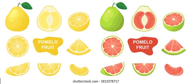 Set of fresh whole, half, cut slice pomelo fruits isolated on white background. Summer fruits for healthy lifestyle. Organic fruit. Cartoon style. Vector illustration for any design.