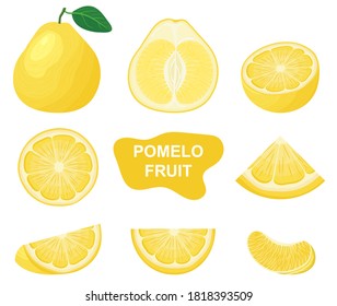 Set of fresh whole, half, cut slice yellow pomelo fruits isolated on white background. Summer fruits for healthy lifestyle. Organic fruit. Cartoon style. Vector illustration for any design.
