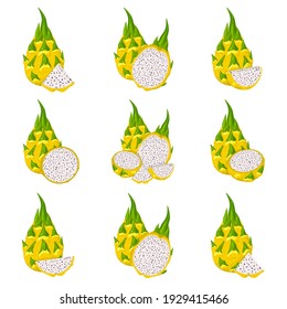 Set of fresh whole, half, cut slice yellow pitaya fruits isolated on white background. Summer fruits for healthy lifestyle. Cartoon style. Vector illustration for any design