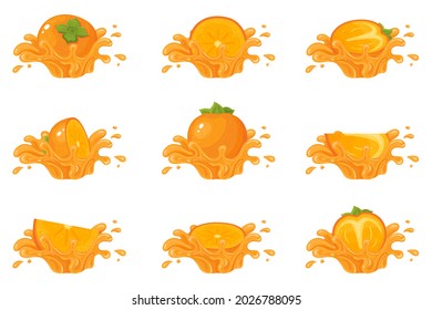 Set of fresh whole, half, cut slice persimmon juice splash fruits isolated on white background. Summer fruits for healthy lifestyle. Organic fruit. Cartoon style. Vector illustration for any design.