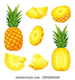 Set of fresh whole, half and cut slice pineapple illustration isolated on white background