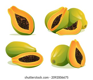 Set of fresh whole and half cut papaya illustration isolated on white background