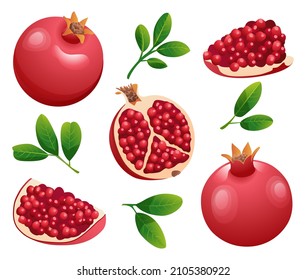 Set of fresh whole, half and cut slice pomegranate illustration isolated on white background