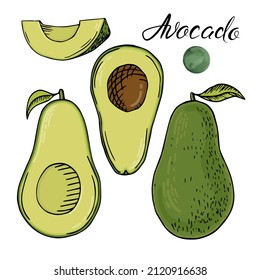 Set of fresh whole, half, cut slice and leaves avocado isolated on white background. Summer organic fruits for healthy lifestyle. Cartoon style.
