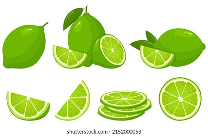 Set of fresh whole, half, cut slice lime fruits isolated on white background. Summer fruits for healthy lifestyle. Organic fruit. Cartoon style. Vector illustration for any design.