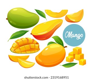 Set of fresh whole, half, and cut slice mango fruits isolated on white background