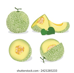 Set of fresh whole half cut slice cantaloupe melon fruit