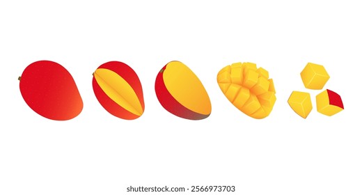 Set of fresh whole, half, cut slice mango fruit. Summer fruits for healthy lifestyle. Organic mango fruit. 