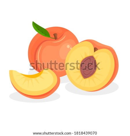 Set of fresh whole, half, cut slice and piece of peach isolated on white background. Vegan food vector icons in a trendy cartoon style. Healthy concept.