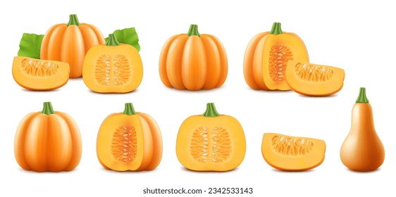 Conjunto de calabazas enteras frescas, medias y en rodajas aisladas sobre fondo blanco. Hortalizas tradicionales de otoño, cosecha. Comida vegetariana. Diseño de Acción de Gracias. Mercado de agricultores. Vector 3d realista