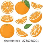 Set of fresh whole, half, and slices oranges. Illustration of bright and juicy citrus fruits 