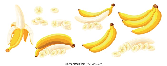 Set of fresh yellow bananas in cartoon style. Vector illustration of fruits whole and cut, large and small sizes on white background.