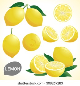 Set of fresh yellow lemon in various styles vector format