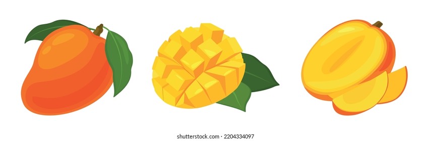 Set of fresh yellow mango in cartoon style. Vector illustration of fruits whole and cut, large and small sizes with leaves on white background.