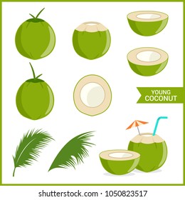 Set of fresh young coconut in vector format and various style