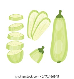 Set of fresh zucchini. Vector illustration on white background.