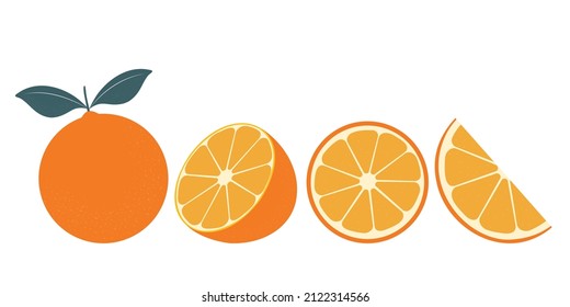 Set of freshness oranges. Orange fruit isolated on white background. Vector illustration for design and print