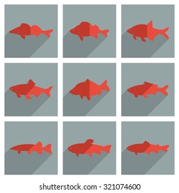 It is a set of freshwater fish with shadow flat concept modern design