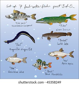 set of freshwater fishs 3