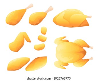 Set of fried different fried chicken ready to eat vector illustration isolated on white background