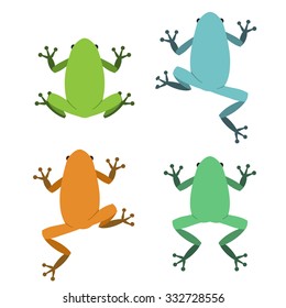 Set of frog  in flat style, vector