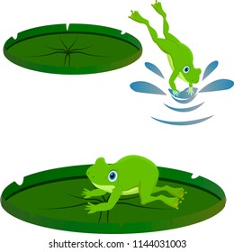 set of frog on lily leaf resting different vector.
