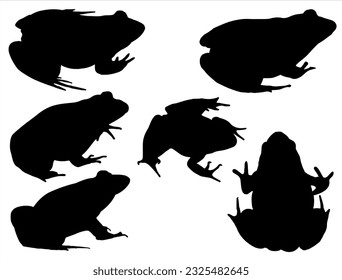 Set of Frog Silhouette Vector art on White Background