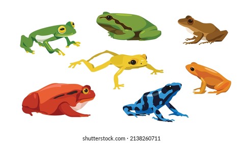 Set of frogs in cartoon style. Vector illustration of reptiles isolated on white background. Types of frogs in the picture glass, tree, craugastor, tomato, golden poison, mantella, poison dart.